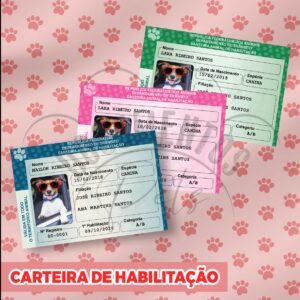 Carteira de motorista pet