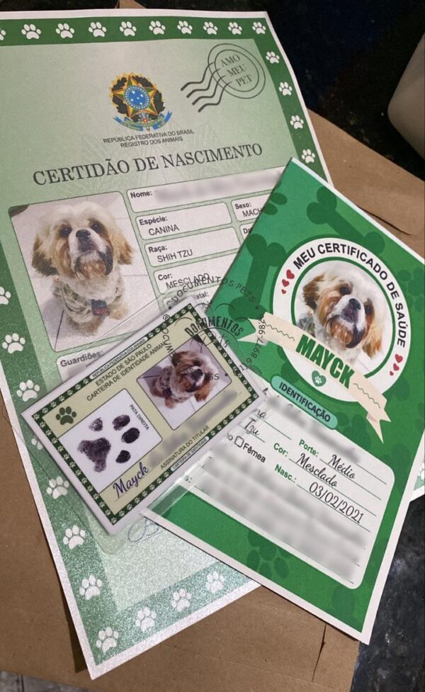 Kit documentos Pet