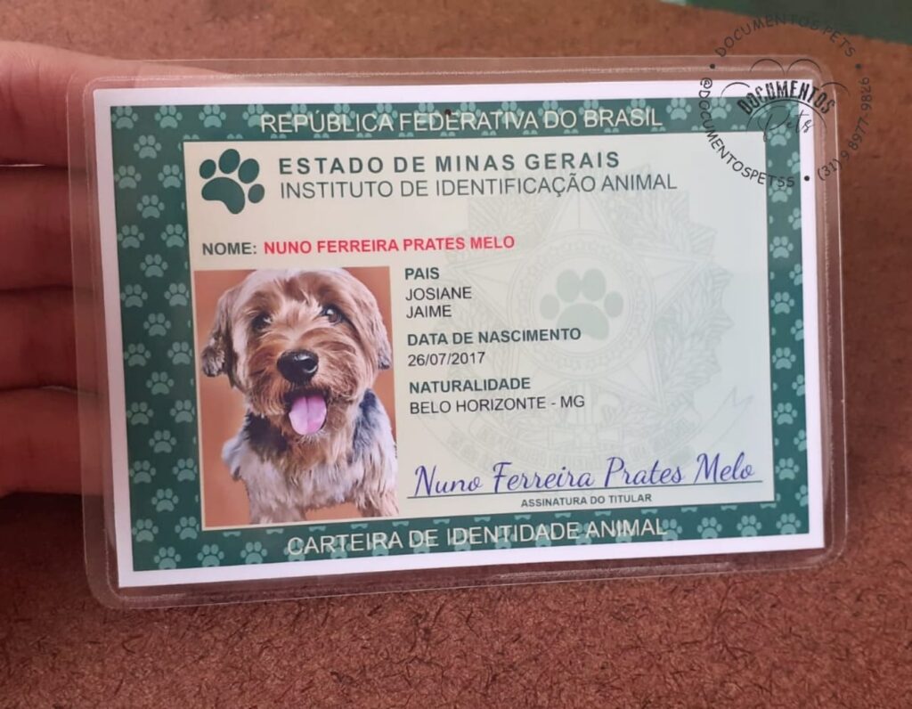 Identidade Rg Pet Modelo Novo Para Imprimir Documentos Pets