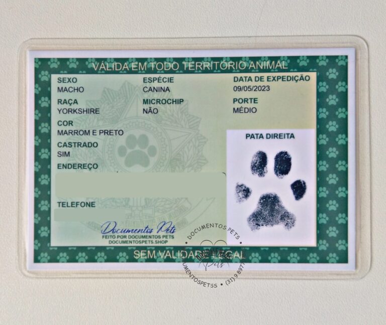 Identidade RG Pet | Modelo Novo | Para imprimir - Documentos Pets